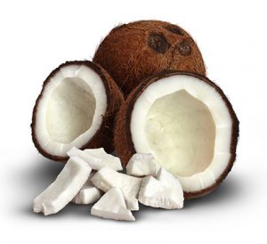 the coconut oil secret pdf