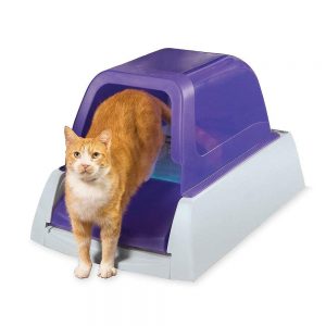 self-cleaning litter box