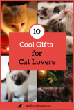 10 Cool Gifts for Cat Lovers … (that your cat will actually appreciate)!