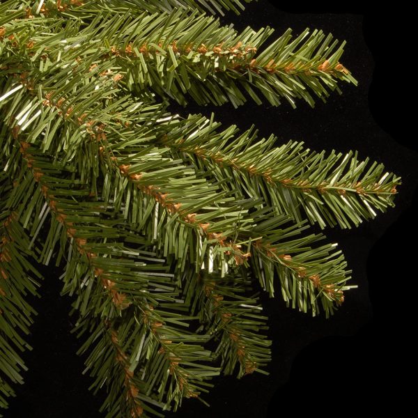 Dunhill Fir Christmas Tree Close Up